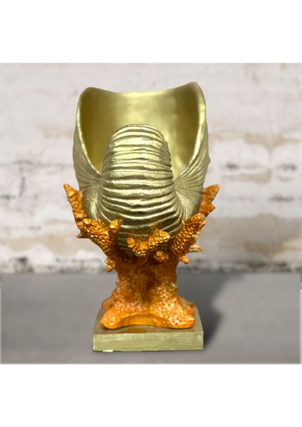 Mercan Üstünde Deniz Kabuğu Şişelik Vazo Heykel Biblo fiyatları