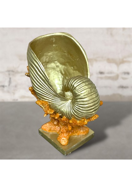 Mercan Üstünde Deniz Kabuğu Şişelik Vazo Heykel Biblo modelleri