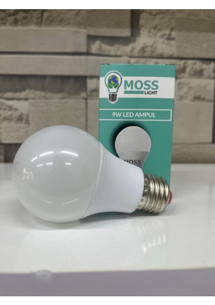 9W LED Ampül