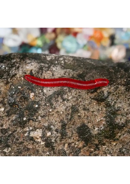 Kokulu Silikon Solucan - 3.5 cm Uzunluğunda 100 Adet - Yapay Solucan - Balık Yemi