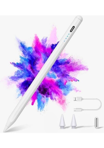 iPad 11 İnç M2 2024 İçin Avuç Içi Reddetmeli Dokunmatik Kalem Özel Active Pencil