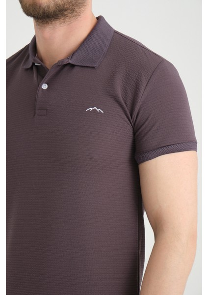 Erkek Küllü Mor Polo Yaka Yazlık Pamuklu Kısa Kollu T Shirt fiyatları
