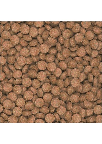 Tropıcal Supervıt Tablets B 100 gr