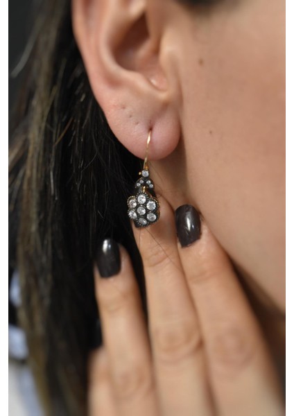 14 Ayar Roz Altın,taşlı Sallantılı Küpe AGKP319 fiyatları