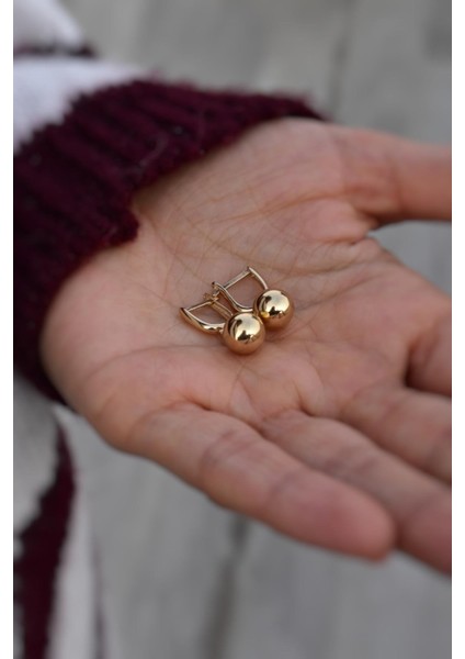 14 Ayar Altın,sallantılı Toplu Küpe AGKP178 fırsatları