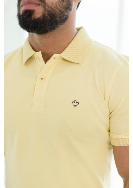 Polo Yaka %100 Pamuk Regular Fit T-Shirt fırsatları