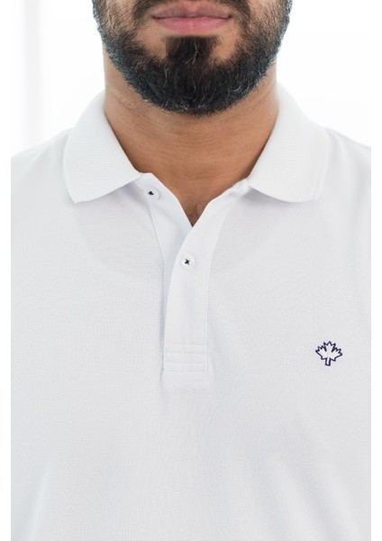 Polo Yaka %100 Pamuk Regular Fit T-Shirt fırsatları