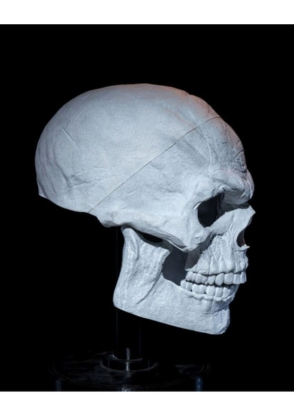 Cadılar Bayramı Kuru Kafa Kafatası Dev Boy Maske 34CM modelleri