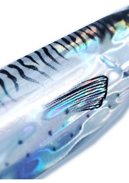 Hologramlı Kurşun Balık Jig - Balık Avı- Sahte Balık- Zagana -Palamut Avcısı fiyatları