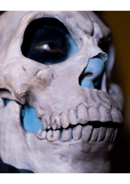 Skeleton Hareketli Yüz Maskesi