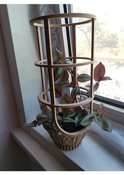 Çember Model Sarmaşık Bitki Saksı