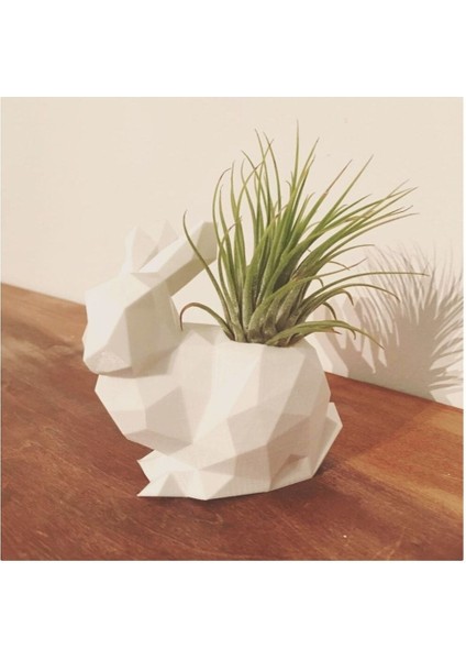 Polygonal Tavşan Saksı