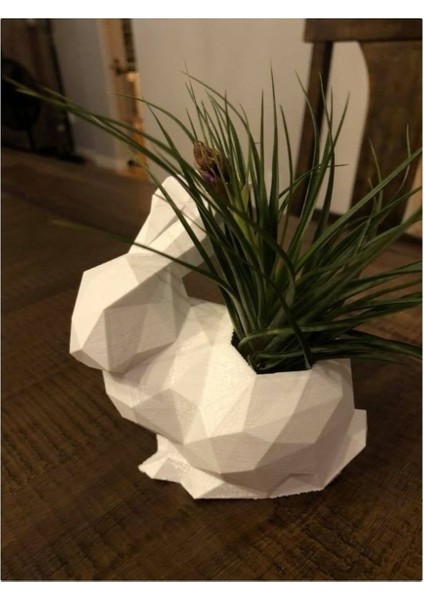 Polygonal Tavşan Saksı fiyatları