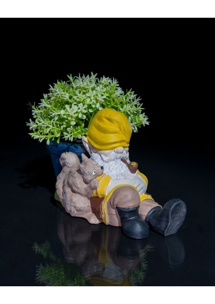 Cüce Bahçe Cini - Uykucu Saksı 13 cm