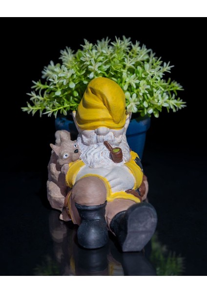 Cüce Bahçe Cini - Uykucu Saksı 13 cm fırsatları