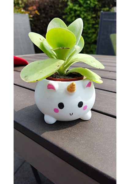 Unicorn Cuttie Saksı 13 cm fiyatları