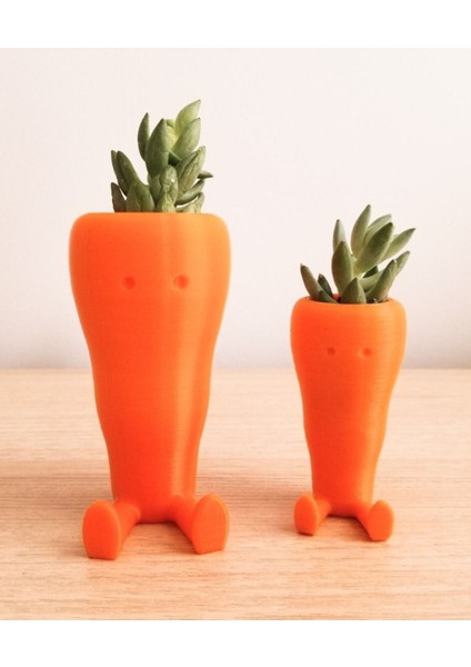 Sevimli Havuç Masaüstü Saksı (Çiçeksiz 2 Adet) fiyatları