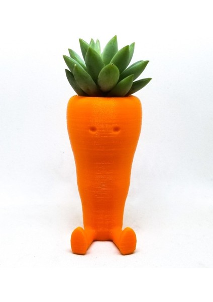 Sevimli Havuç Masaüstü Saksı (Çiçeksiz 2 Adet) fırsatları