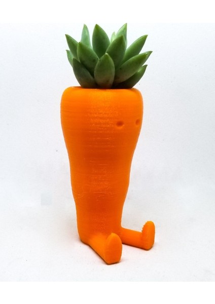 Sevimli Havuç Masaüstü Saksı (Çiçeksiz 2 Adet) indirimleri