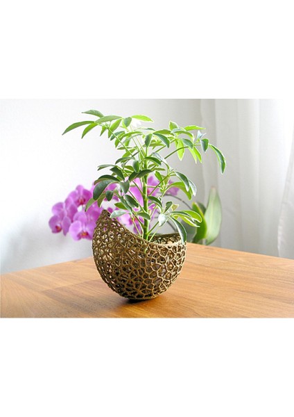 Voronoi Antik Gold Saksı 13 cm Çap