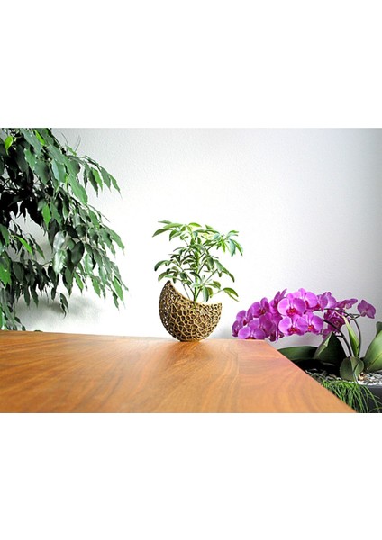 Voronoi Antik Gold Saksı 13 cm Çap fırsatları