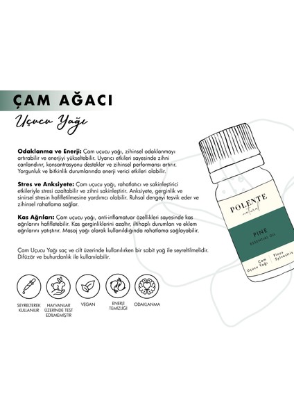 Polente Natural Çam Uçucu Yağı (10 ml)