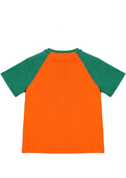 Erkek Çocuk Tshirt BNT-B21376