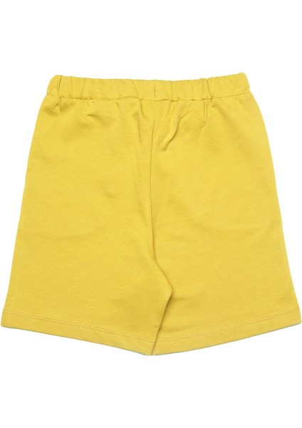 Erkek Çocuk Şort BNT-B238-R modelleri