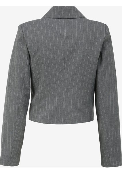 Crop Gri Kadın Ceket SPBF4SL-CKT5505