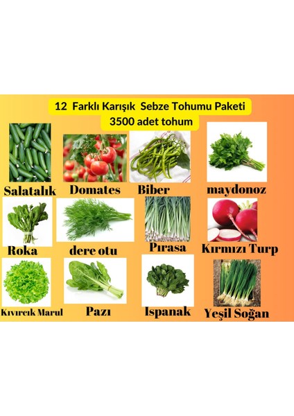 12 Çeşit Sebze Yeşillik Tohum Paketi - Pırasa, Turp, Pazı,soğan ,yerli Ata Sürdürebilir 3500 Adet fiyatları