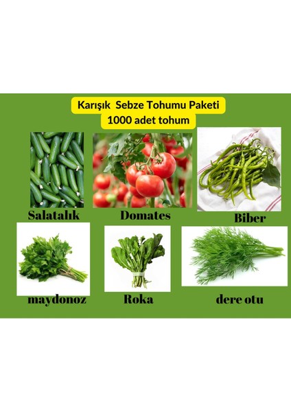 Sebze Yeşillik Tohum Paketi - 6 Çeşit Domates, Salatalık, Biber ,roka, Dereotu ,maydonoz 1000 Adet