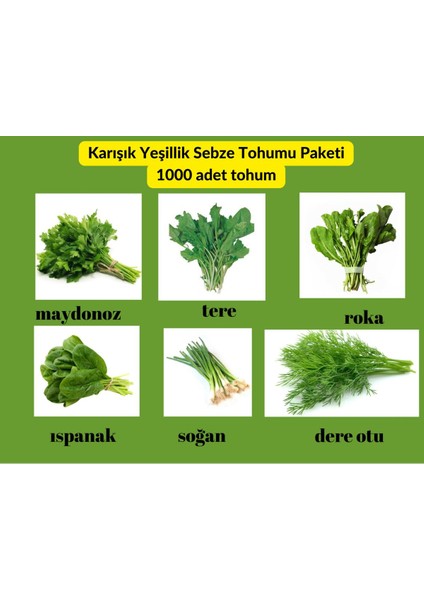 Yeşillik Tohum Paketi - 6 Çeşit Tohum Maydanoz, Tere, Roka, Dereotu , Soğan, Ispanak 1000 Adet