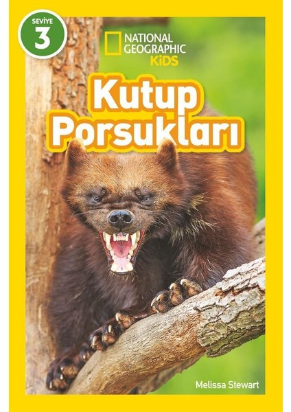 National Geographic Kids – Kutup Porsukları