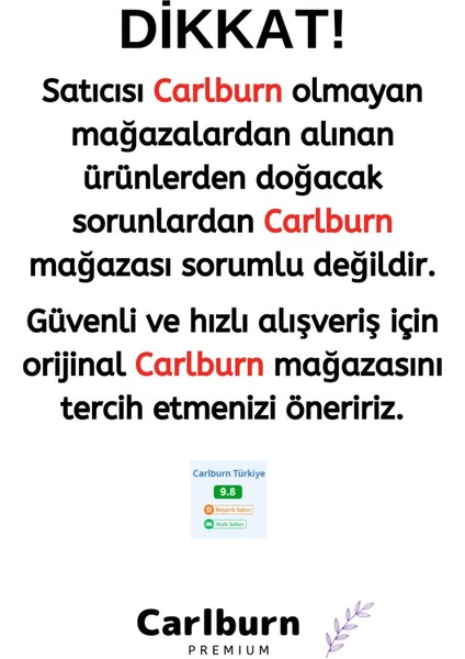 Premium Series Seri Hızlı Kutulu Yeni Nesil Yüz Hassas Bölge Rahat Metal Dayanıklı Hacamat Kalemi 2