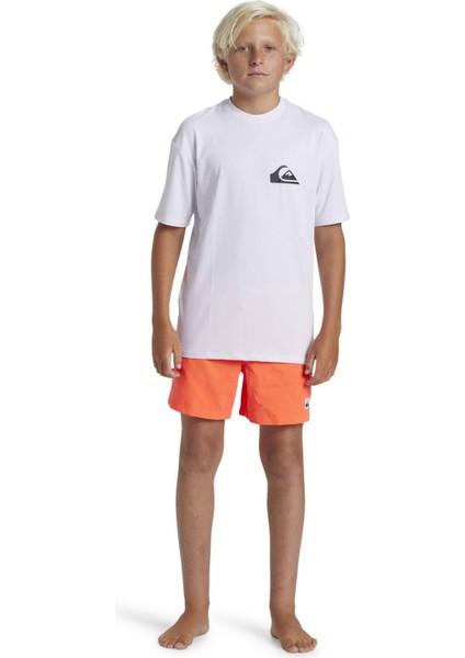 Quıksılver Everyday Surf Tee Ss Youth Erkek Çocuk T-Shirt AQBWR03067-QK.10 fırsatları