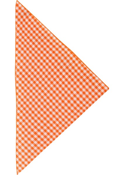 3d Yeşil Korsan Çocuk T-shirt Şort Bandana Takım