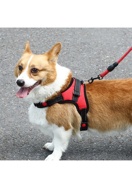 K9 Köpek Ayarlanabilir Göğüs Kemeri, Beden: L (Yurt Dışından) indirimleri