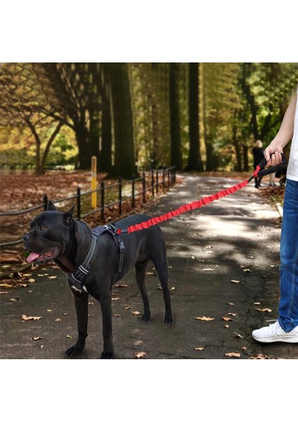 Hcpet Köpek Tr Halat Pet Yüksek-Astik Patlamaya Dayanıklı Stik Halat, Uzunluk: 120CM(SIYAH) (Yurt Dışından) indirimleri