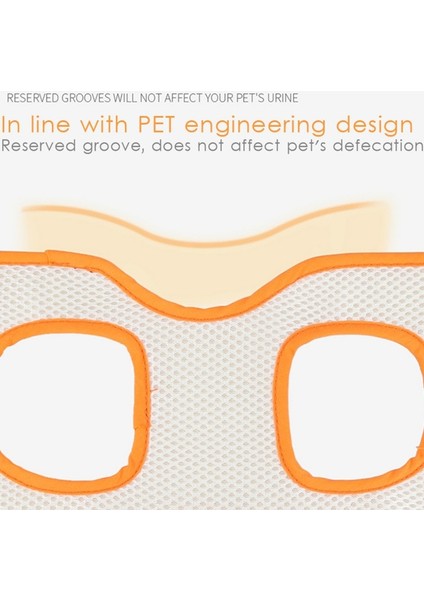 Ameliyat Sonrası Engelli Derly Köpekler Için Pet Tasma Istive Bt Basit (Yurt Dışından) indirimleri