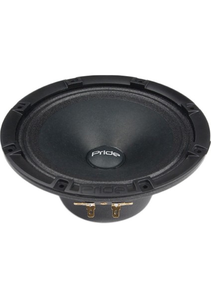 Audio Ruby Air 6.5 16 cm 200W 100RMS Hybrıt Spl Midrange