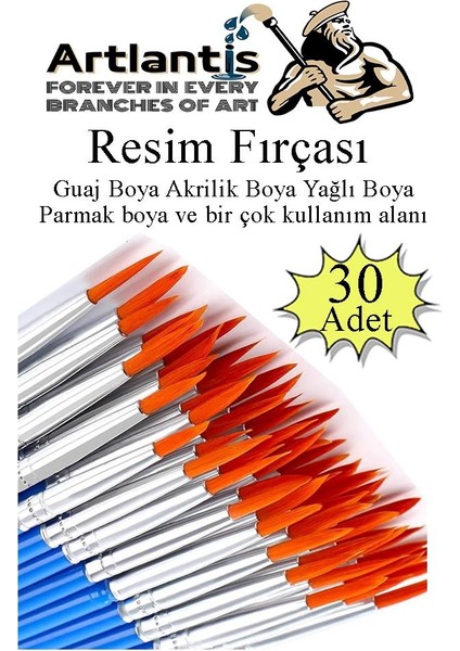 Resim Fırçası 30 Adet Ekonomik Sentetik Fırça Suluboya Akrilik Boya Guaj Boya Yağlı Boya Resim Boyama