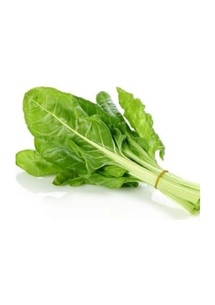 Bt Yeşim Pazı 10 Gr x 3 Adet