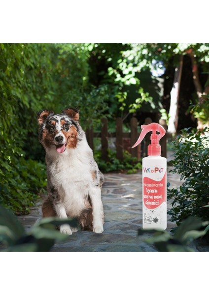 Evcil Hayvanlar Köpekler Için Probiyotik Içeren Leke ve Koku Giderici Sprey