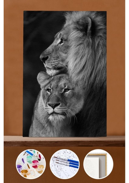 Sayılarla Boyama Seti Çerçeveli Kasnaklı Aslanların Aşkı 3 40X50 cm