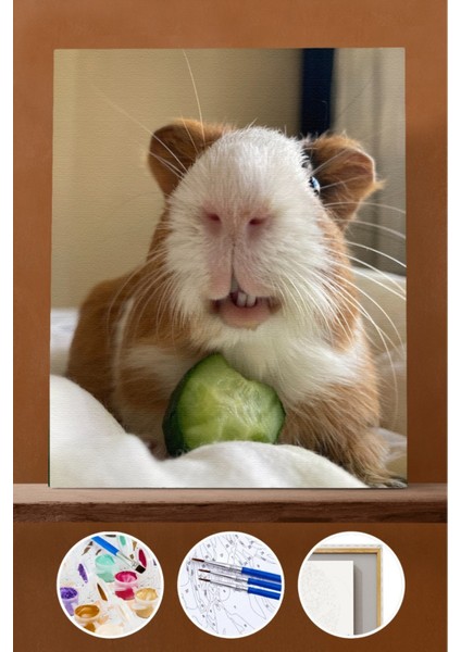 Sayılarla Boyama Seti Çerçeveli Kasnaklı Salatalık Düşkünü 50X65 cm