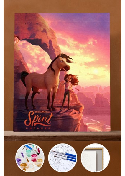 Sayılarla Boyama Seti Çerçeveli Kasnaklı Sipirit Özgür Ruh 50X65 cm