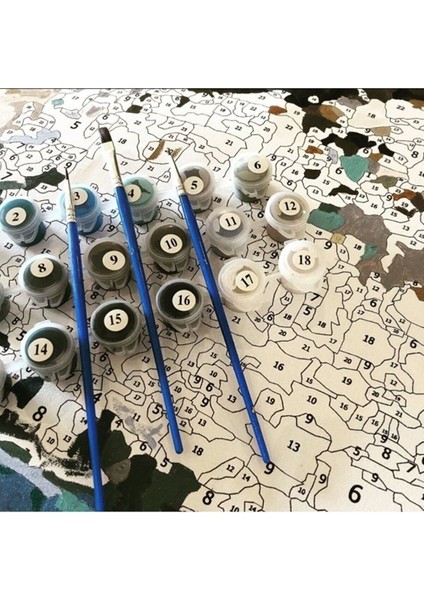 Sayılarla Boyama Seti Çerçeveli Kasnaklı Modern Inci Küpeli 60X75 cm modelleri