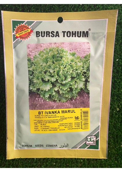 Bursa Tohum Bt Ivanka Marul 10 Gr x 3 Adet