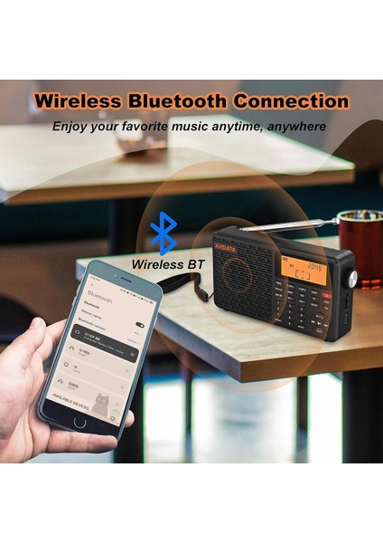 D109 Taşınabilir Şarj Edilebilir Dijital Radyo, Bluetooth Sw/lw/mw/fm Radyo