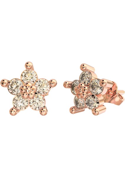 Zirkon Taşlı Rose Manolya Çiçeği Çivili Gümüş Küpe